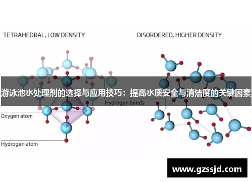 游泳池水处理剂的选择与应用技巧：提高水质安全与清洁度的关键因素